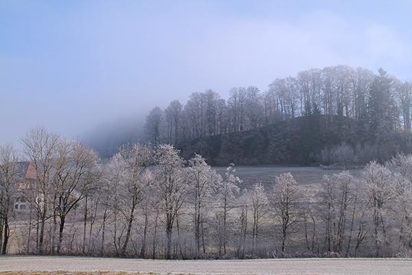 Wyssachen Gasthof Roessli מראה חיצוני תמונה